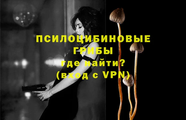 прущий лед Алексин