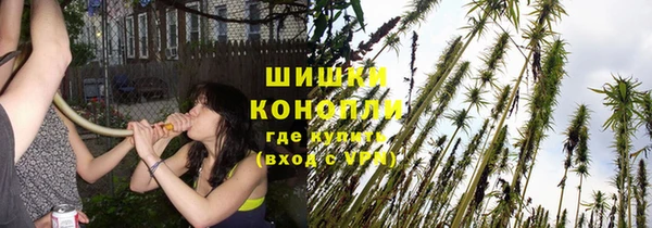 PSILOCYBIN Абинск