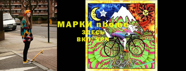 гашик Няндома
