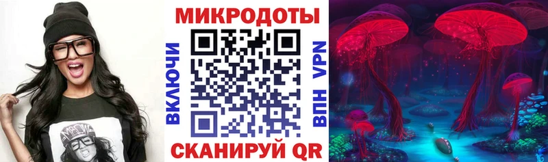 Галлюциногенные грибы прущие грибы магазин продажи наркотиков Чегем